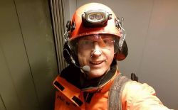 Comment se débarrasser définitivement des pigeons ?